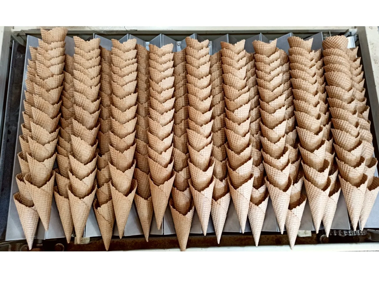 Cucuruchones recién salidos de la máquina en la fábrica Dolce Pasta